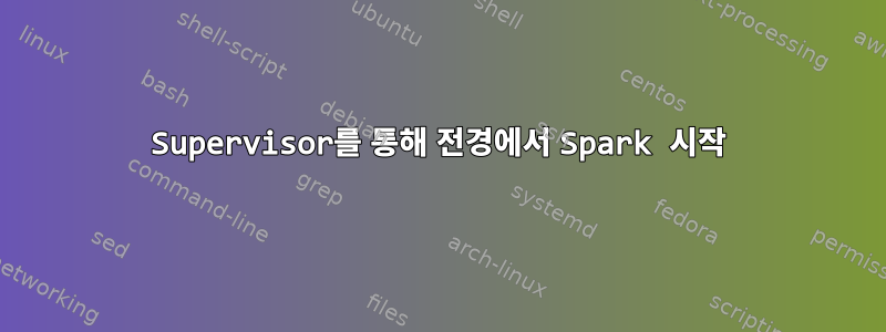 Supervisor를 통해 전경에서 Spark 시작