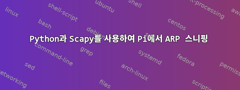 Python과 Scapy를 사용하여 Pi에서 ARP 스니핑