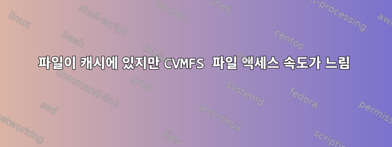 파일이 캐시에 있지만 CVMFS 파일 액세스 속도가 느림