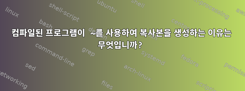 컴파일된 프로그램이 ~를 사용하여 복사본을 생성하는 이유는 무엇입니까?