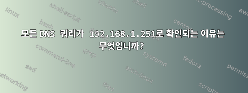 모든 DNS 쿼리가 192.168.1.251로 확인되는 이유는 무엇입니까?