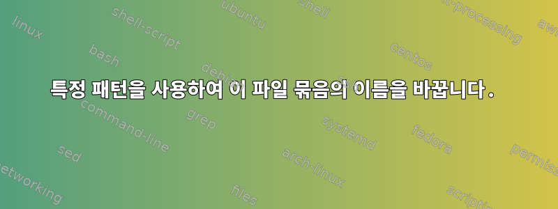 특정 패턴을 사용하여 이 파일 묶음의 이름을 바꿉니다.