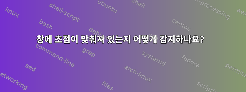 창에 초점이 맞춰져 있는지 어떻게 감지하나요?