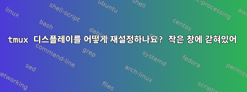 tmux 디스플레이를 어떻게 재설정하나요? 작은 창에 갇혀있어