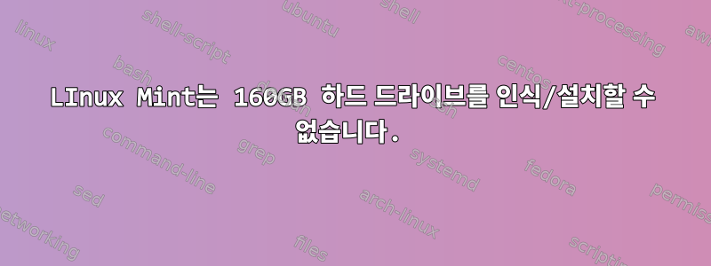 LInux Mint는 160GB 하드 드라이브를 인식/설치할 수 없습니다.