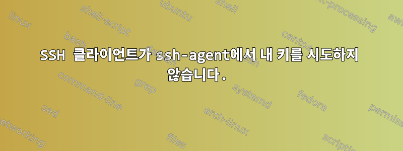 SSH 클라이언트가 ssh-agent에서 내 키를 시도하지 않습니다.