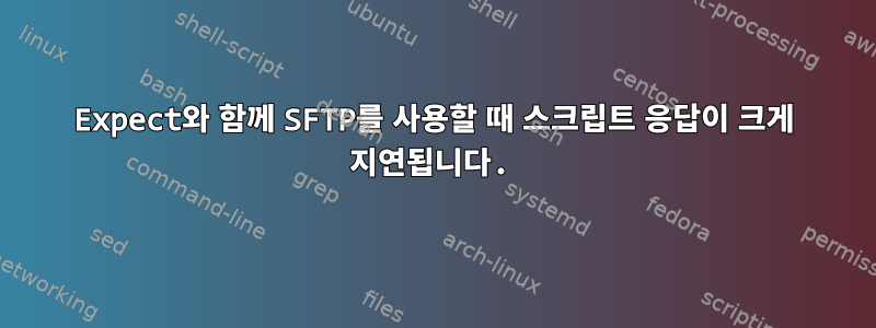 Expect와 함께 SFTP를 사용할 때 스크립트 응답이 크게 지연됩니다.