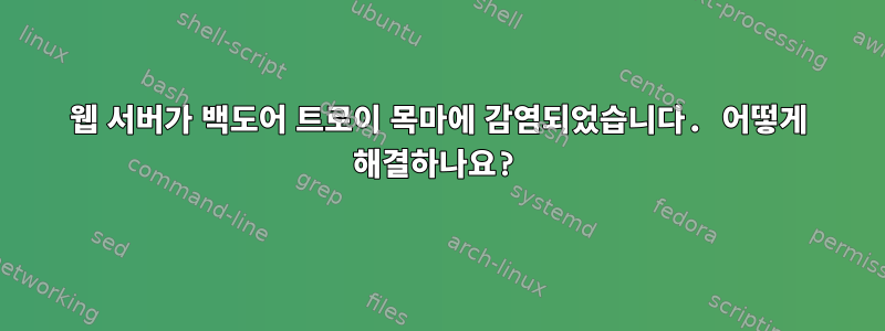 웹 서버가 백도어 트로이 목마에 감염되었습니다. 어떻게 해결하나요?