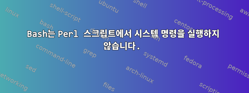 Bash는 Perl 스크립트에서 시스템 명령을 실행하지 않습니다.