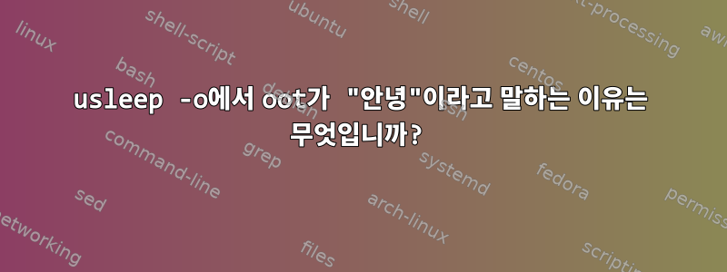 usleep -o에서 oot가 "안녕"이라고 말하는 이유는 무엇입니까?