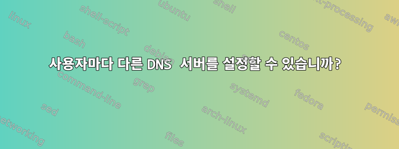 사용자마다 다른 DNS 서버를 설정할 수 있습니까?