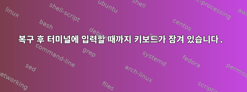 복구 후 터미널에 입력할 때까지 키보드가 잠겨 있습니다.