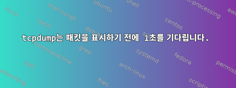 tcpdump는 패킷을 표시하기 전에 1초를 기다립니다.