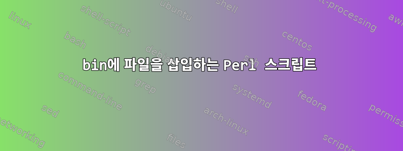 bin에 파일을 삽입하는 Perl 스크립트