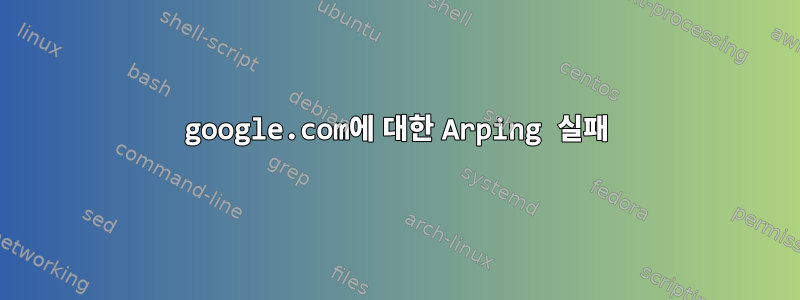 google.com에 대한 Arping 실패