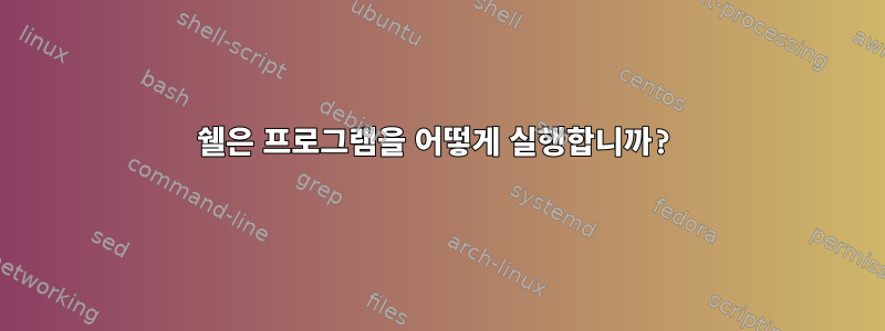 쉘은 프로그램을 어떻게 실행합니까?