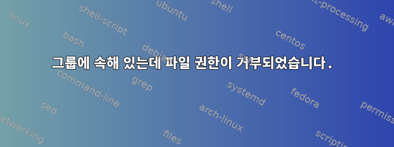 그룹에 속해 있는데 파일 권한이 거부되었습니다.