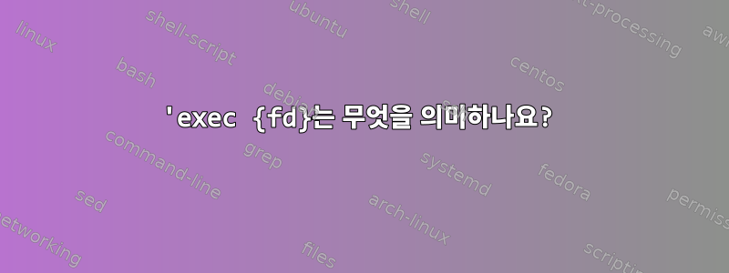 'exec {fd}는 무엇을 의미하나요?