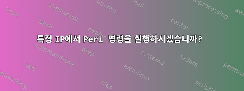 특정 IP에서 Perl 명령을 실행하시겠습니까?