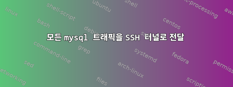 모든 mysql 트래픽을 SSH 터널로 전달