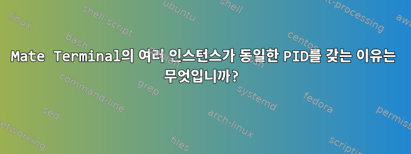 Mate Terminal의 여러 인스턴스가 동일한 PID를 갖는 이유는 무엇입니까?