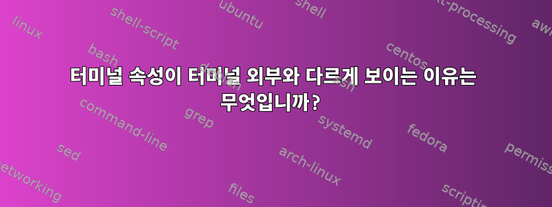 터미널 속성이 터미널 외부와 다르게 보이는 이유는 무엇입니까?