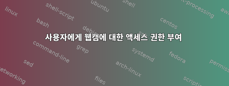 사용자에게 웹캠에 대한 액세스 권한 부여