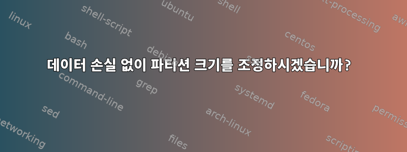 데이터 손실 없이 파티션 크기를 조정하시겠습니까?