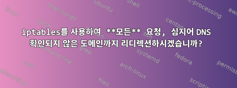 iptables를 사용하여 **모든** 요청, 심지어 DNS 확인되지 않은 도메인까지 리디렉션하시겠습니까?