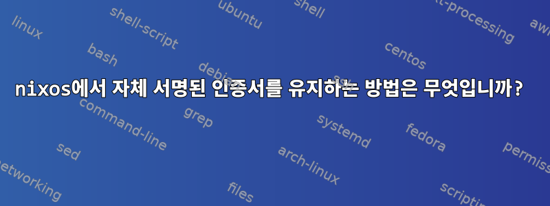 nixos에서 자체 서명된 인증서를 유지하는 방법은 무엇입니까?