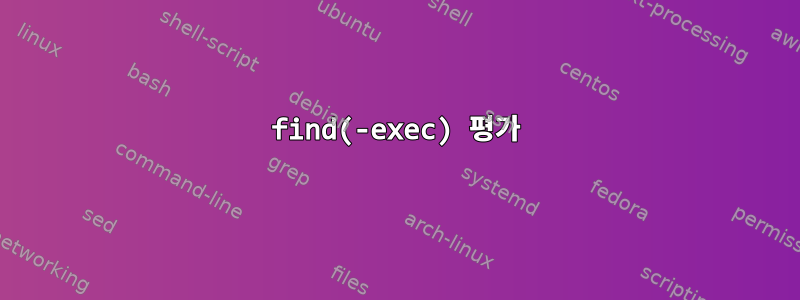 find(-exec) 평가