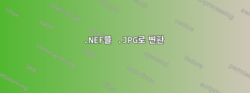 .NEF를 .JPG로 변환