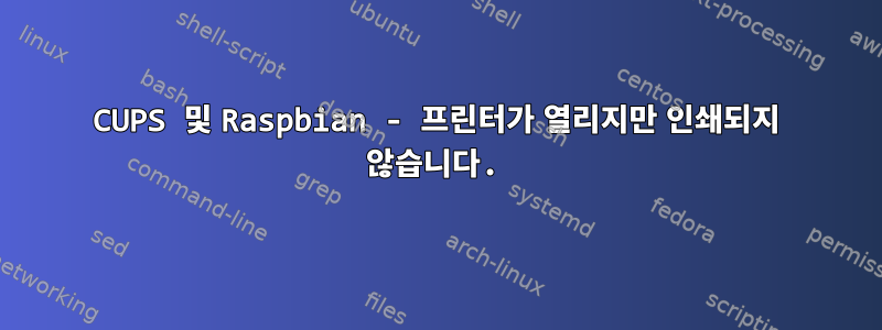 CUPS 및 Raspbian - 프린터가 열리지만 인쇄되지 않습니다.