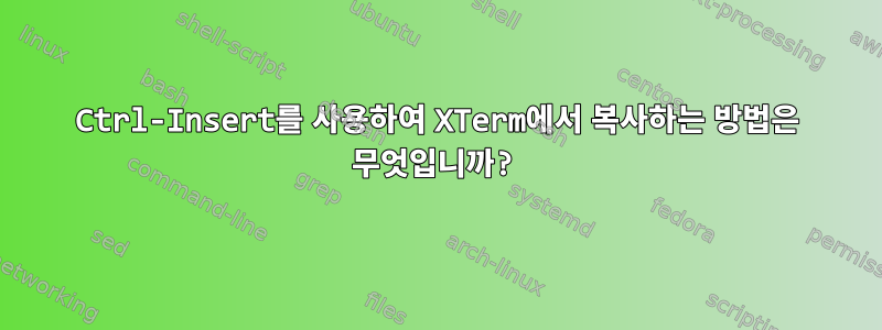 Ctrl-Insert를 사용하여 XTerm에서 복사하는 방법은 무엇입니까?