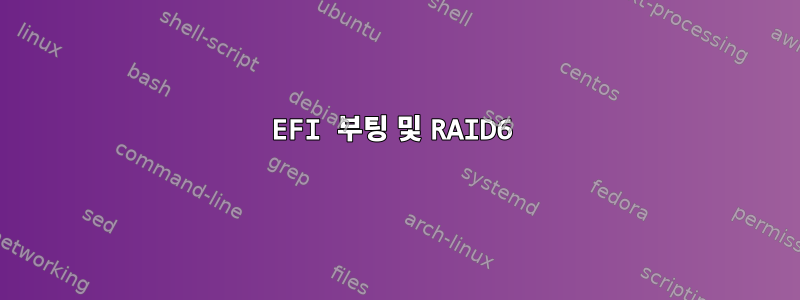 EFI 부팅 및 RAID6