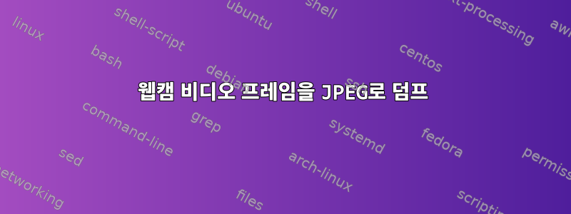 웹캠 비디오 프레임을 JPEG로 덤프