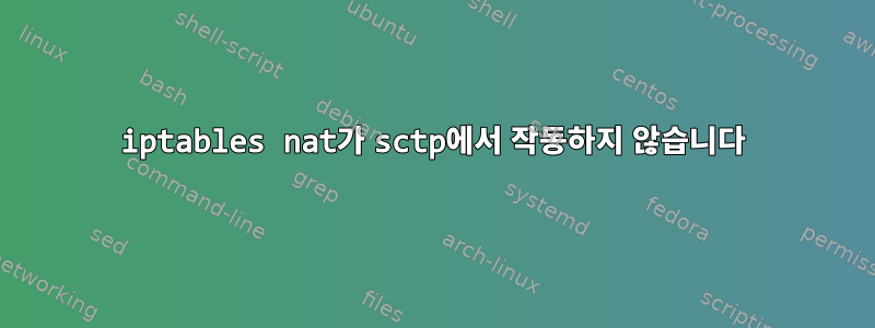 iptables nat가 sctp에서 작동하지 않습니다