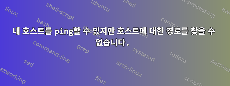 내 호스트를 ping할 수 있지만 호스트에 대한 경로를 찾을 수 없습니다.