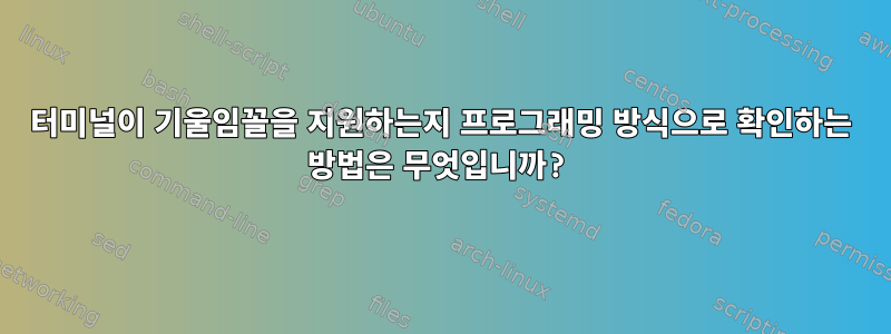 터미널이 기울임꼴을 지원하는지 프로그래밍 방식으로 확인하는 방법은 무엇입니까?