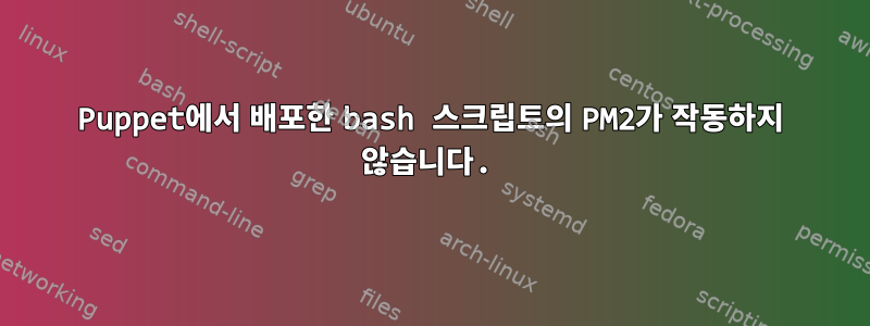 Puppet에서 배포한 bash 스크립트의 PM2가 작동하지 않습니다.