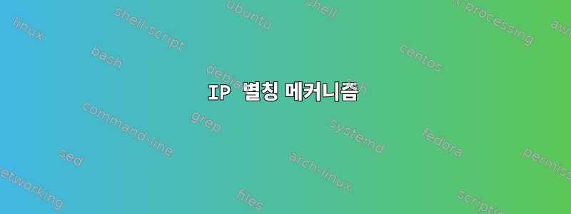 IP 별칭 메커니즘