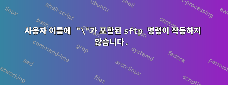 사용자 이름에 "\"가 포함된 sftp 명령이 작동하지 않습니다.