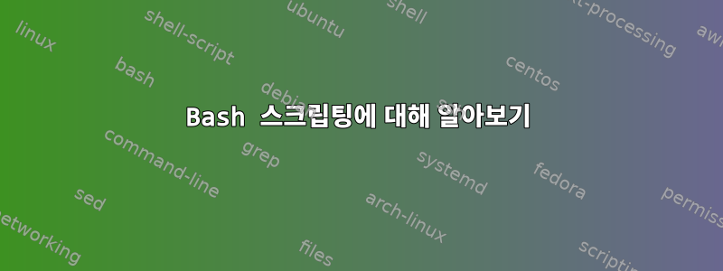 Bash 스크립팅에 대해 알아보기