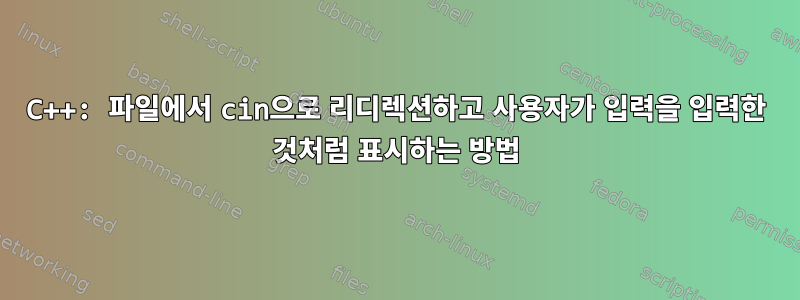 C++: 파일에서 cin으로 리디렉션하고 사용자가 입력을 입력한 것처럼 표시하는 방법