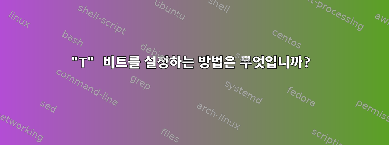 "T" 비트를 설정하는 방법은 무엇입니까?