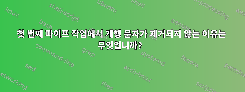 첫 번째 파이프 작업에서 개행 문자가 제거되지 않는 이유는 무엇입니까?