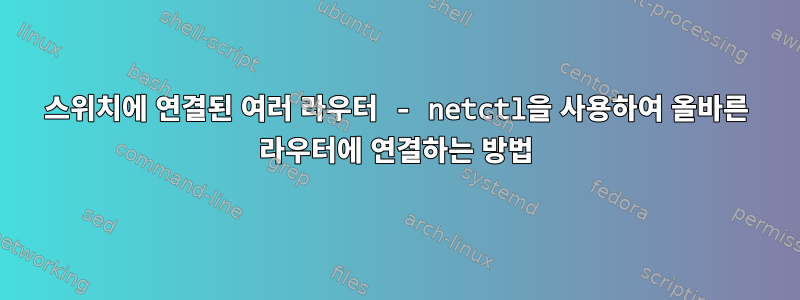 스위치에 연결된 여러 라우터 - netctl을 사용하여 올바른 라우터에 연결하는 방법