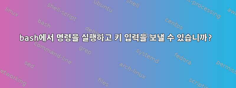 bash에서 명령을 실행하고 키 입력을 보낼 수 있습니까?