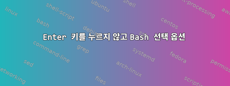 Enter 키를 누르지 않고 Bash 선택 옵션