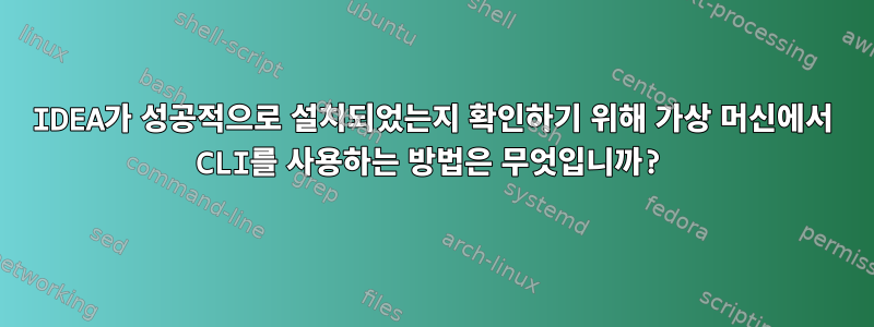 IDEA가 성공적으로 설치되었는지 확인하기 위해 가상 머신에서 CLI를 사용하는 방법은 무엇입니까?